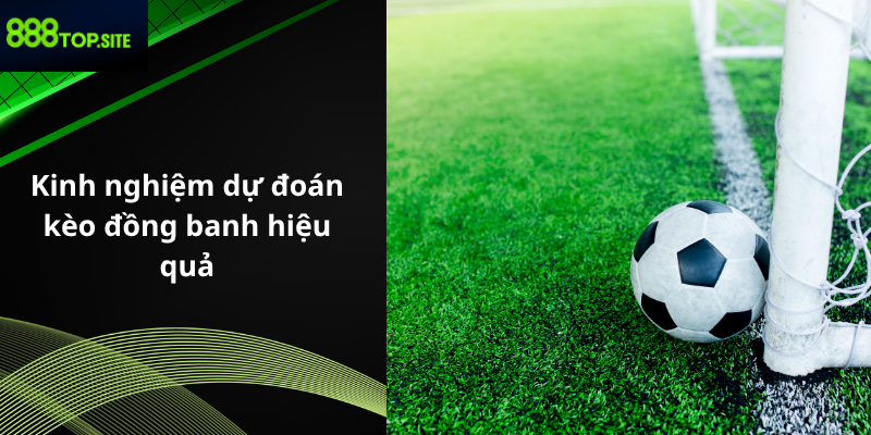 Kinh nghiệm dự đoán kèo đồng banh hiệu quả