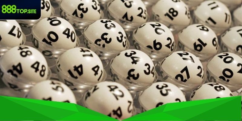 Tổng quan dàn đề 3 càng Miền Bắc